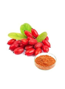  Wolfberry Powder (Goji Berry, Lycium Barbarum) ผง เก๋ากี้ (Air-dried, Pure)