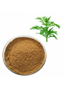 Warmwood Extract (Artemisia annua) สารสกัดจาก โกฐจุฬาลัมพา ชิงเฮา