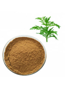  Warmwood Extract (Artemisia annua) สารสกัดจาก โกฐจุฬาลัมพา ชิงเฮา