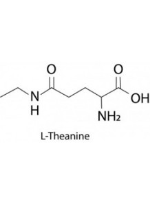  L-Theanine