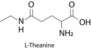 L-Theanine