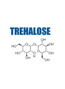  Trehalose ทรีฮาโลส