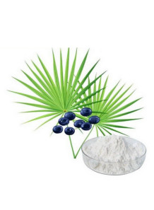  Saw Palmetto (Fatty Acids 45%) สารสกัดจาก ซอร์ พาลเมตโต