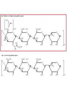 Gellan Gum (High Acyl)