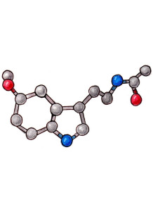  Melatonin