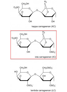 Propylene Glycol Alginate (PGA)