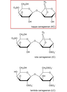  Kappa Carrageenan (80-120 Mesh, Refined, 1450 Gel Strength)