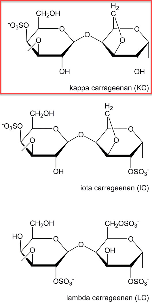 Kappa Carrageenan (80-120 Mesh, Refined, 1450 Gel Strength)