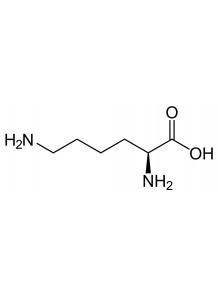  L-Lysine