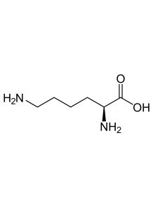  L-Lysine (Base)