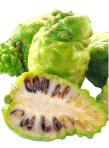 Noni Fruit Powder ผล ลูกยอ