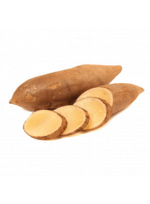 Yacon Powder ผล บัวหิมะ