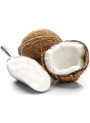 Medium-chain triglycerides (MCT) Oil Powder (70%)