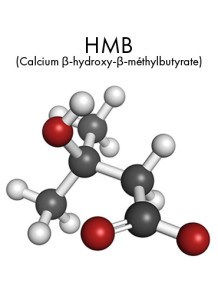  HMB Calcium (Calcium β-hydroxy-β-methylbutyrate)