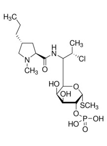  Clindamycin Phosphate