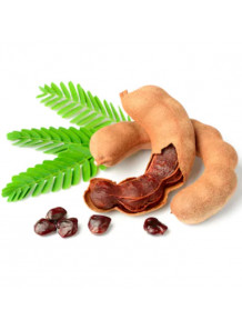 Tamarind Gum (ทามารีนกัม จาก เมล็ดมะขาม)