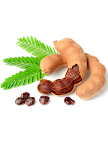  Tamarind Gum (ทามารีนกัม จาก เมล็ดมะขาม)