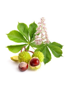  Horse Chestnut Extract (Escin 40%)