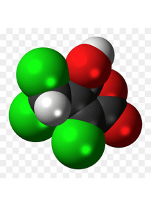 Selenoprotein from Plant