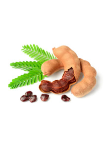  Tamarind Extract (สารสกัด จาก มะขาม)