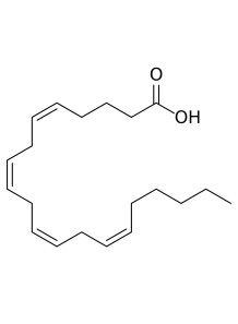  Arachidonic Acid 10% (ARA) (Encapsulated Powder)