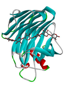 Xylanase Enzyme (200,000U/g)