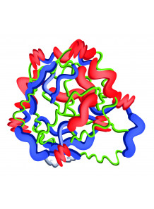 Pepsin Enzyme (1:3000NF)
