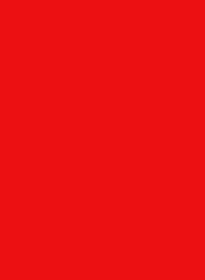 Fluorescent Red Pigment