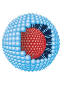  Vitamin E TPGS (Water-Disperse Vitamin E)