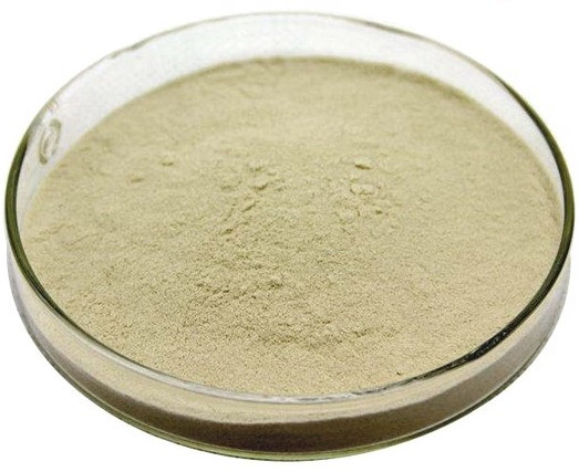 White Kidney Bean Powder (Cooked, Ultra-Fine) ผงถั่วขาว อบสุก ละเอียดพิเศษ