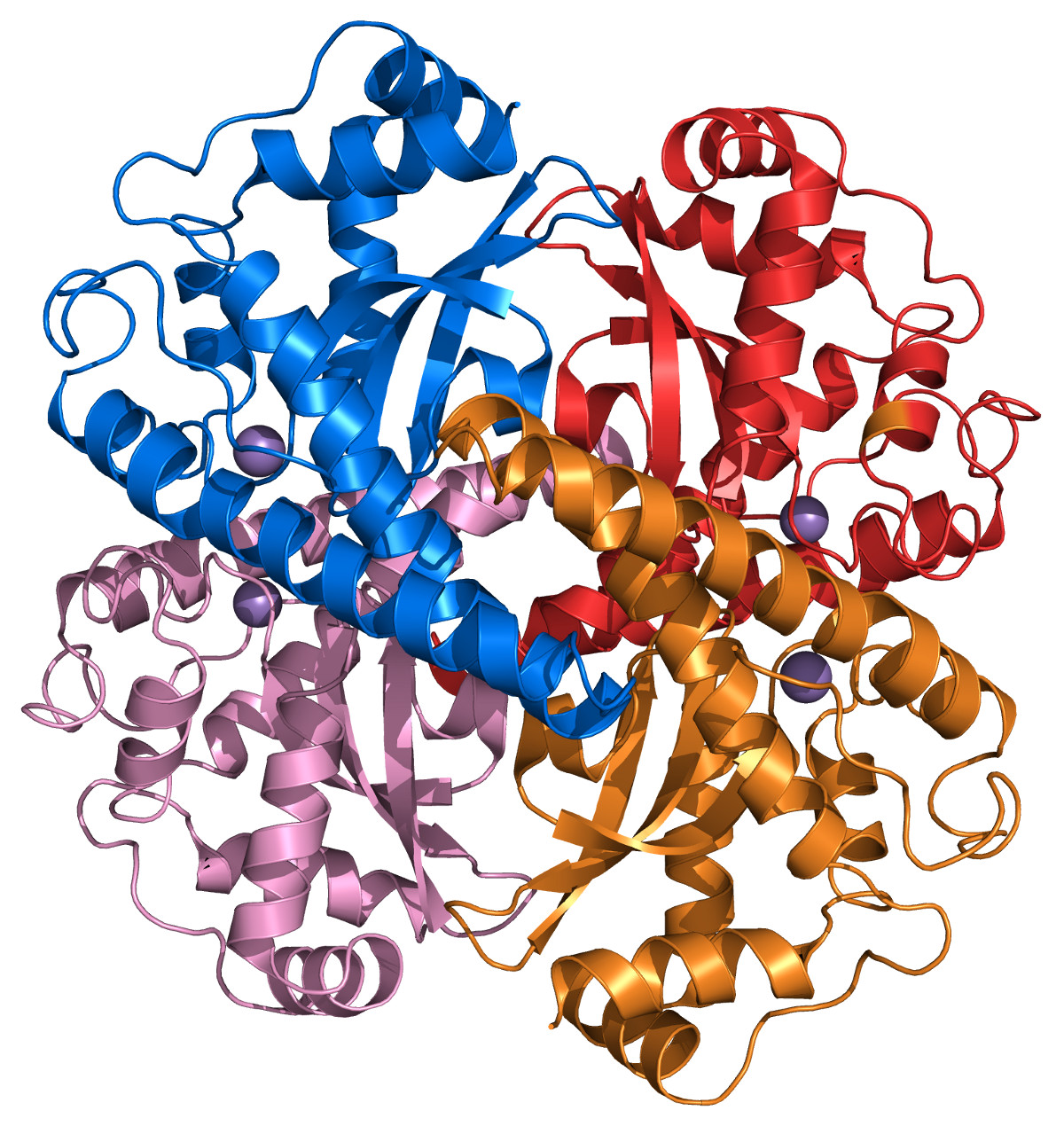 SOD (Superoxide dismutase) (50000IU/g)