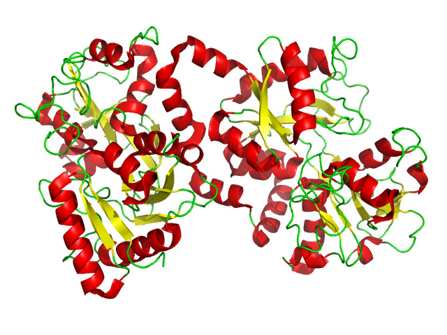 Lactoferrin (95%)