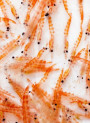 Krill Oil (Antarctic, 40% Phospholipids, 30% Phosphatidylcholines﻿)