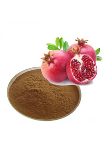 Pomegranate (Peel) Extract (Ellagic Acid 90%)