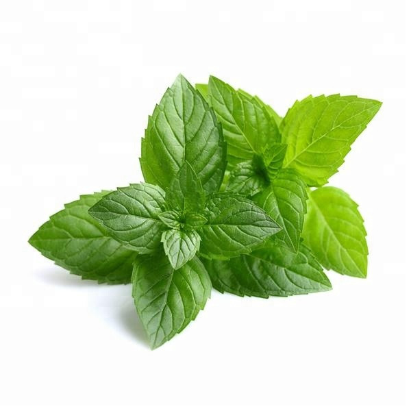 Mint Luteolin™ (Mentha Piperita Extract)