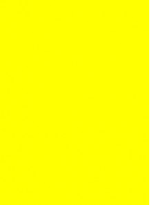 Bright Yellow (Solvent-Paste, Transparent) (Coating / Not For Cosmetics & Food)