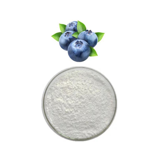 Blueberry Extract (Pterostilbene 98) Blueberry Extract