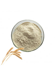 Wheat Peptide (Oligopeptide, 1000 Daltons)