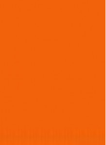 Orange (Water-Based Paste) (Coating / Not For Cosmetics & Food)