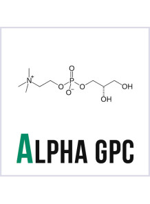Alpha GPC...