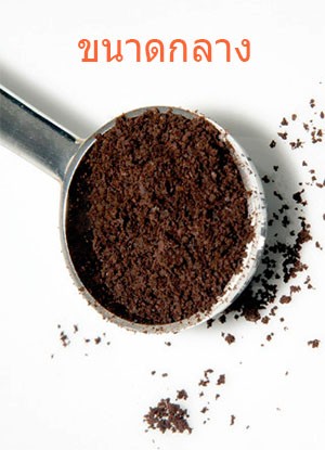 Coffee Scrub เม็ดสครับ กาแฟ ขนาดกลาง