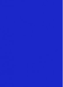 Glossy Non-Transfer Lip Color (Raw Color: Blue)