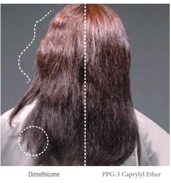 PPG-3 Caprylyl Ether