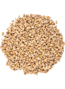 Malt Flavor (Water Soluble...