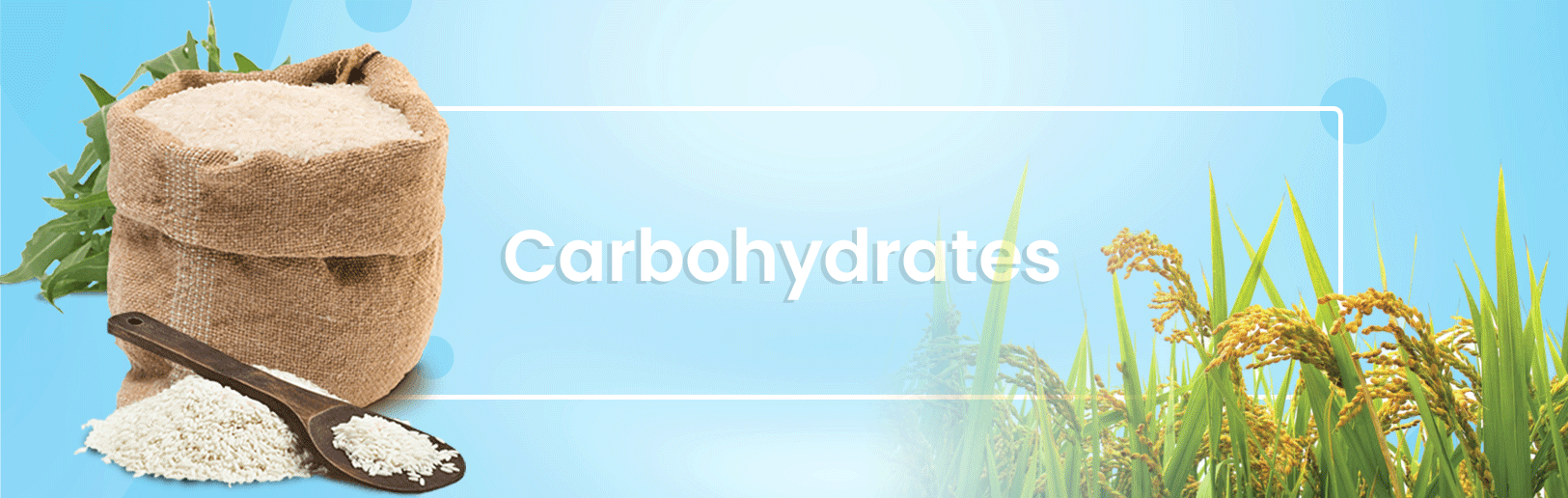 Carbohydrates﻿ for food additive