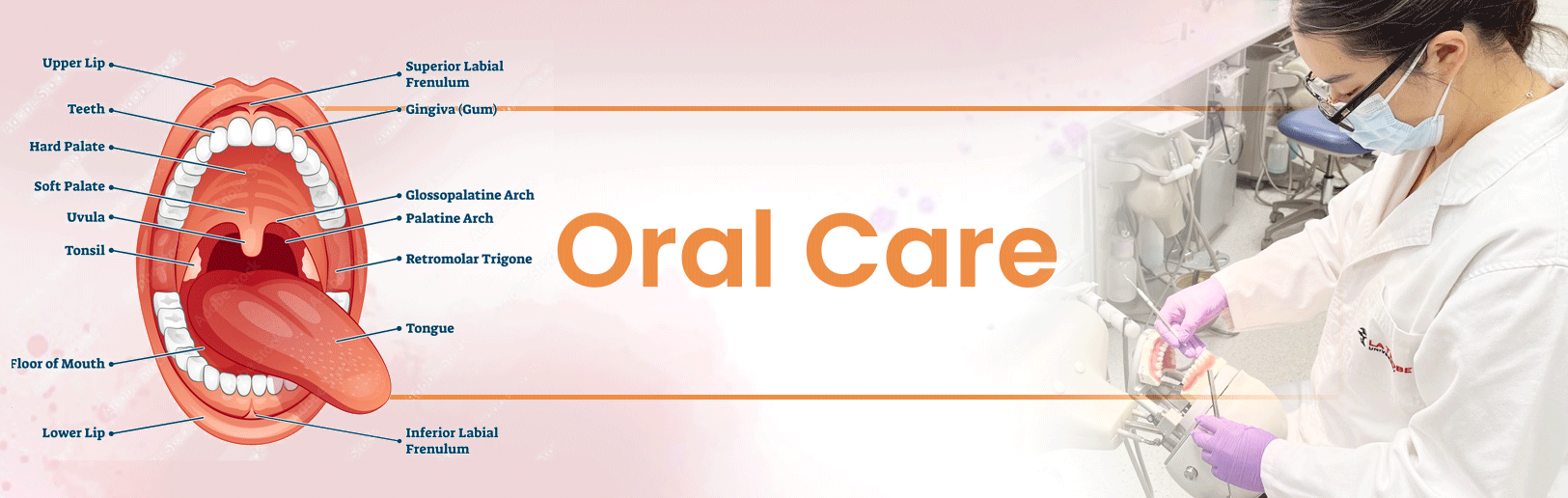 ส่วนผสมที่ใช้ในผลิตภัณฑ์ดูแลช่องปาก Oral Care