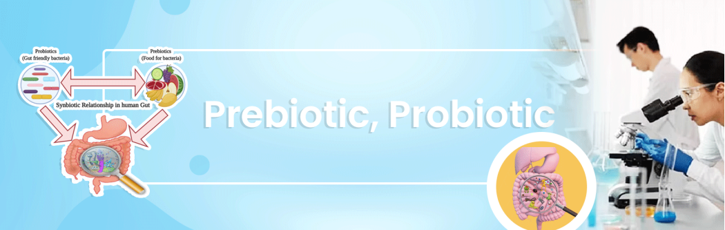 Prebiotic, Probiotic, Fiber อาหารเสริม กลุ่ม พรีไบโอติก และโพรไบโอติก