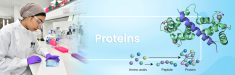 Proteins