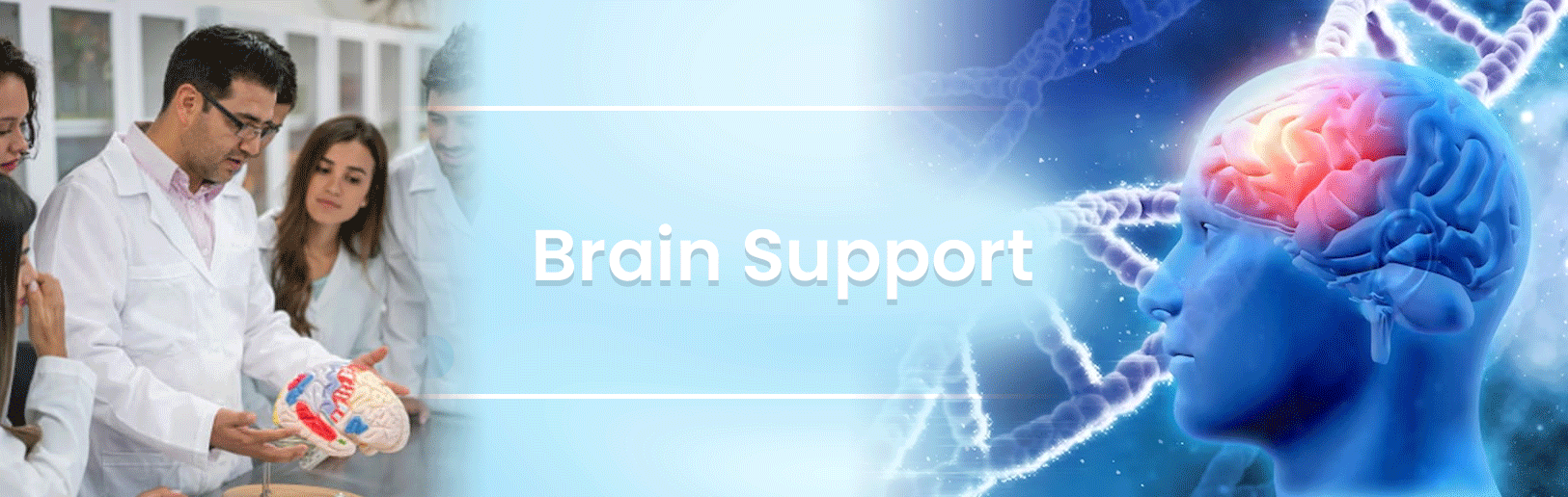 Brain Support