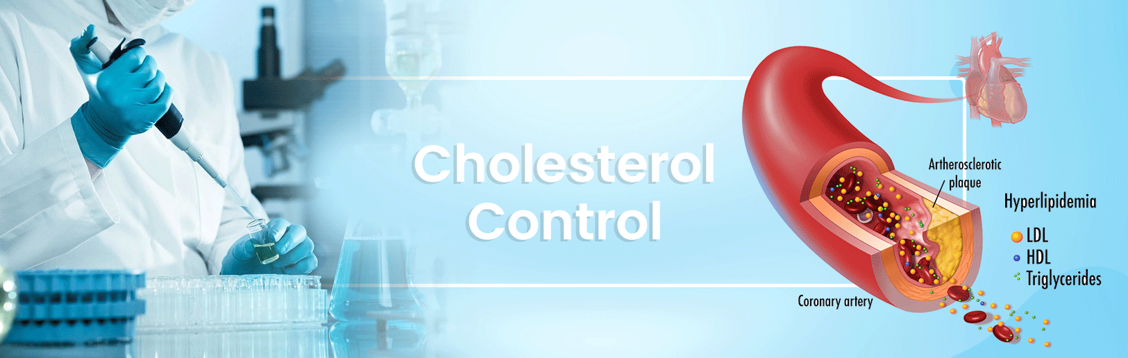 อาหารเสริม เพื่อช่วยควบคุมไขมันที่ไม่ดีต่อร่างกาย (LDL Cholesterol)